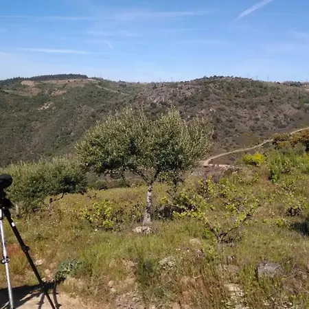 Lejlighed Refugio Do Douro Bemposta (Braganca)