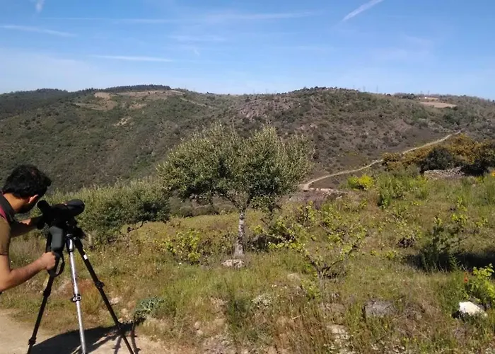 아파트 Refugio Do Douro 벰포스타