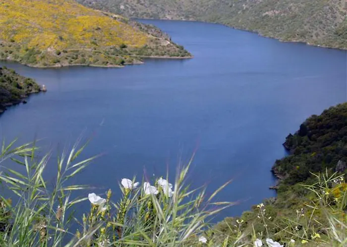 Refugio Do Douro 아파트 벰포스타